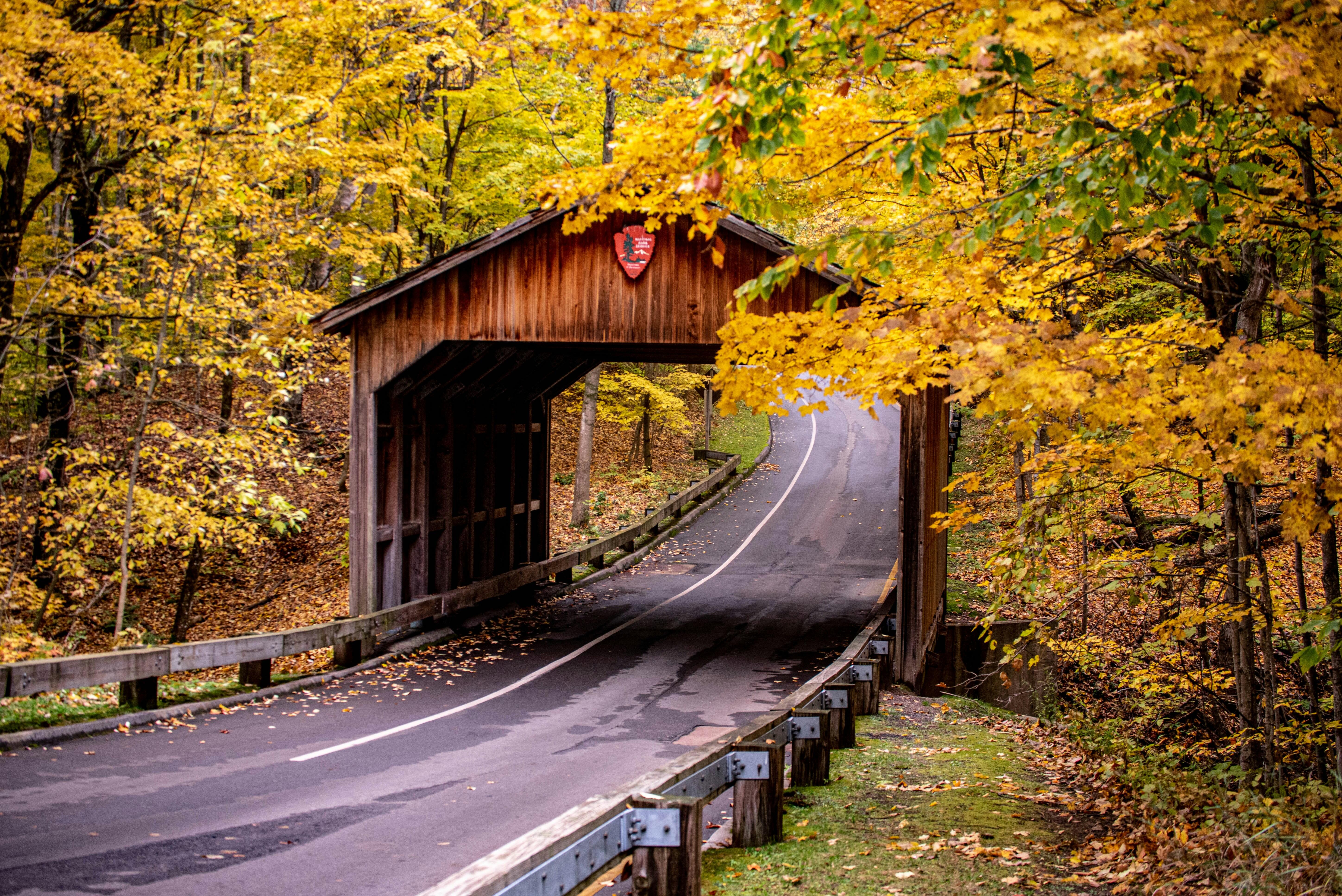 A country road passing through a covered bridge in autumn